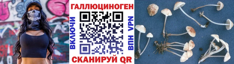 закладка  Нея  Галлюциногенные грибы MAGIC MUSHROOMS 