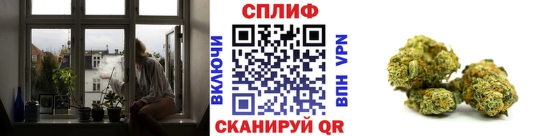 Шишки марихуана индика  Нея 